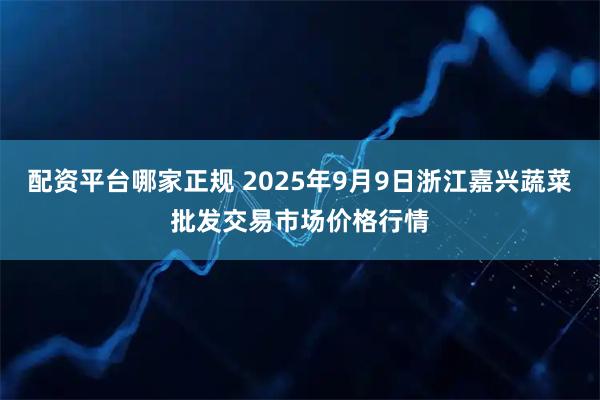配资平台哪家正规 2025年9月9日浙江嘉兴蔬菜批发交易市场价格行情