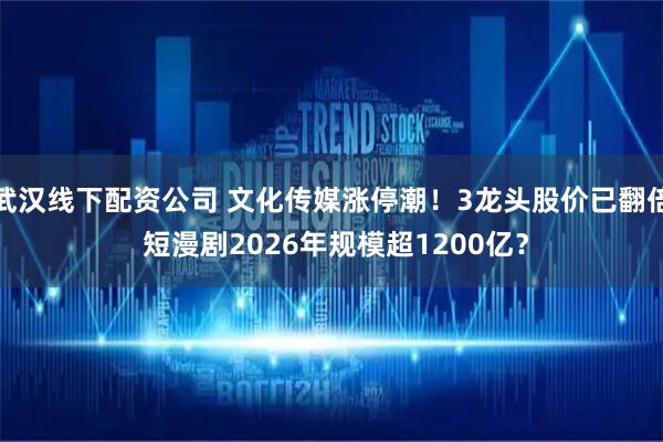武汉线下配资公司 文化传媒涨停潮！3龙头股价已翻倍 短漫剧2026年规模超1200亿？