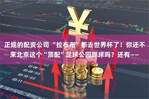 正规的配资公司 “拉布布”都去世界杯了！你还不来北京这个“顶配”足球公园踢球吗？还有——